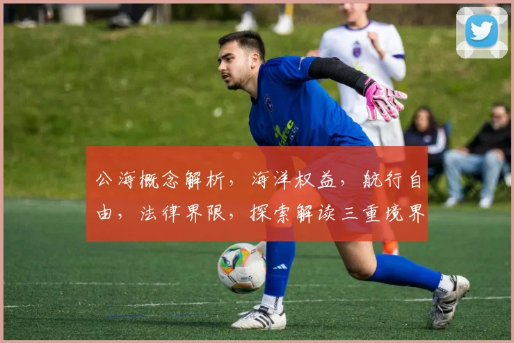 公海概念解析，海洋权益，航行自由，法律界限，探索解读三重境界