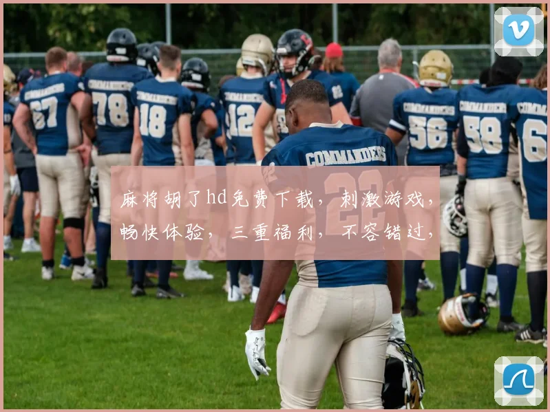 麻将胡了hd免费下载，刺激游戏，畅快体验，三重福利，不容错过，立即下载