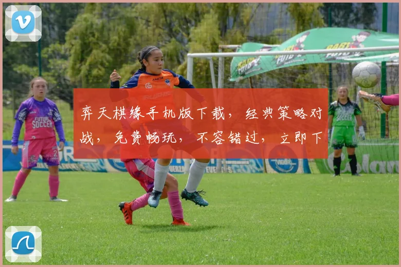 弈天棋缘手机版下载，经典策略对战，免费畅玩，不容错过，立即下载
