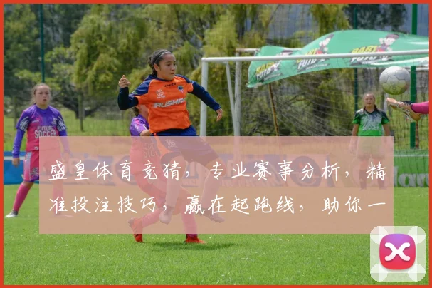 盛皇体育竞猜，专业赛事分析，精准投注技巧，赢在起跑线，助你一臂之力