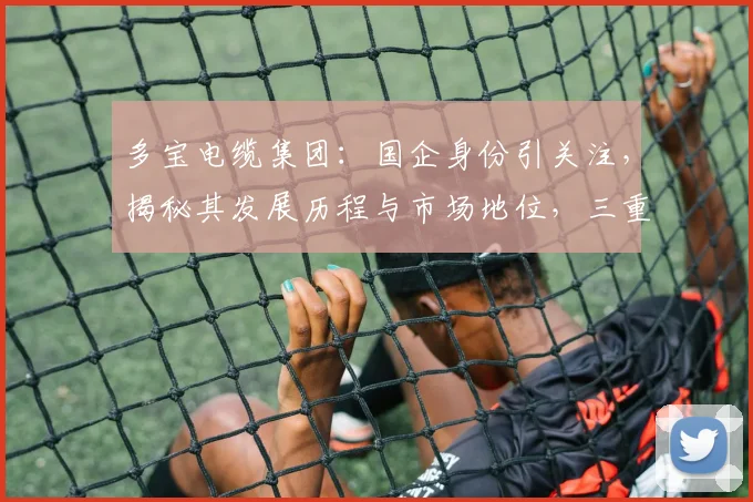 多宝电缆集团：国企身份引关注，揭秘其发展历程与市场地位，三重亮点引人瞩目
